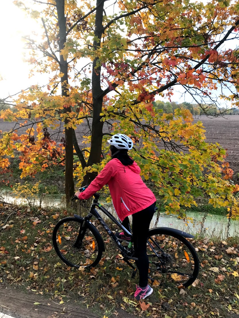 My Top 5 Autumn Cycling Routes in Brandenburg
